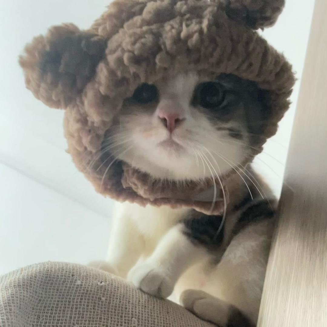 姚妙妙