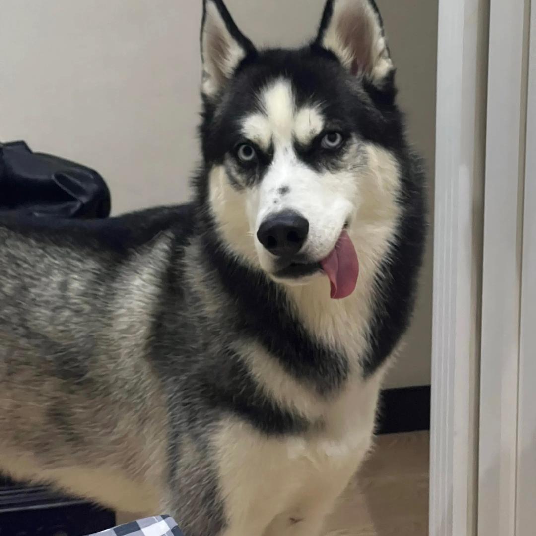 抡起斧头就是劈