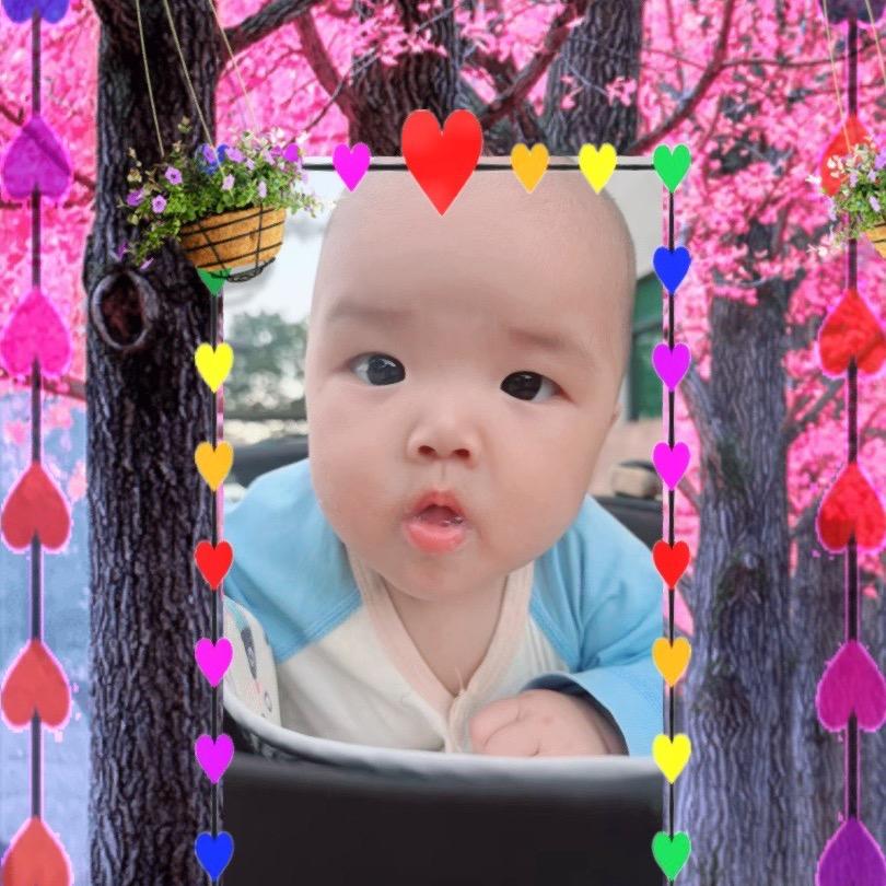 紫妍