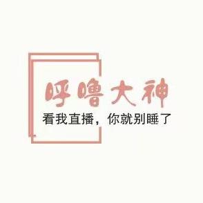 呼噜哥
