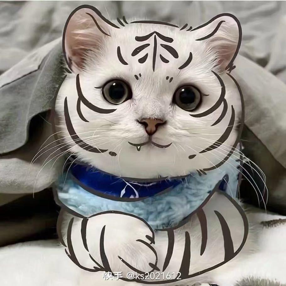 Yang 翼虎