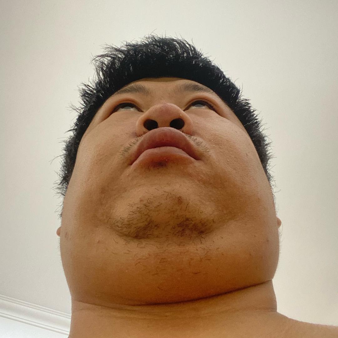 光鸡鲁