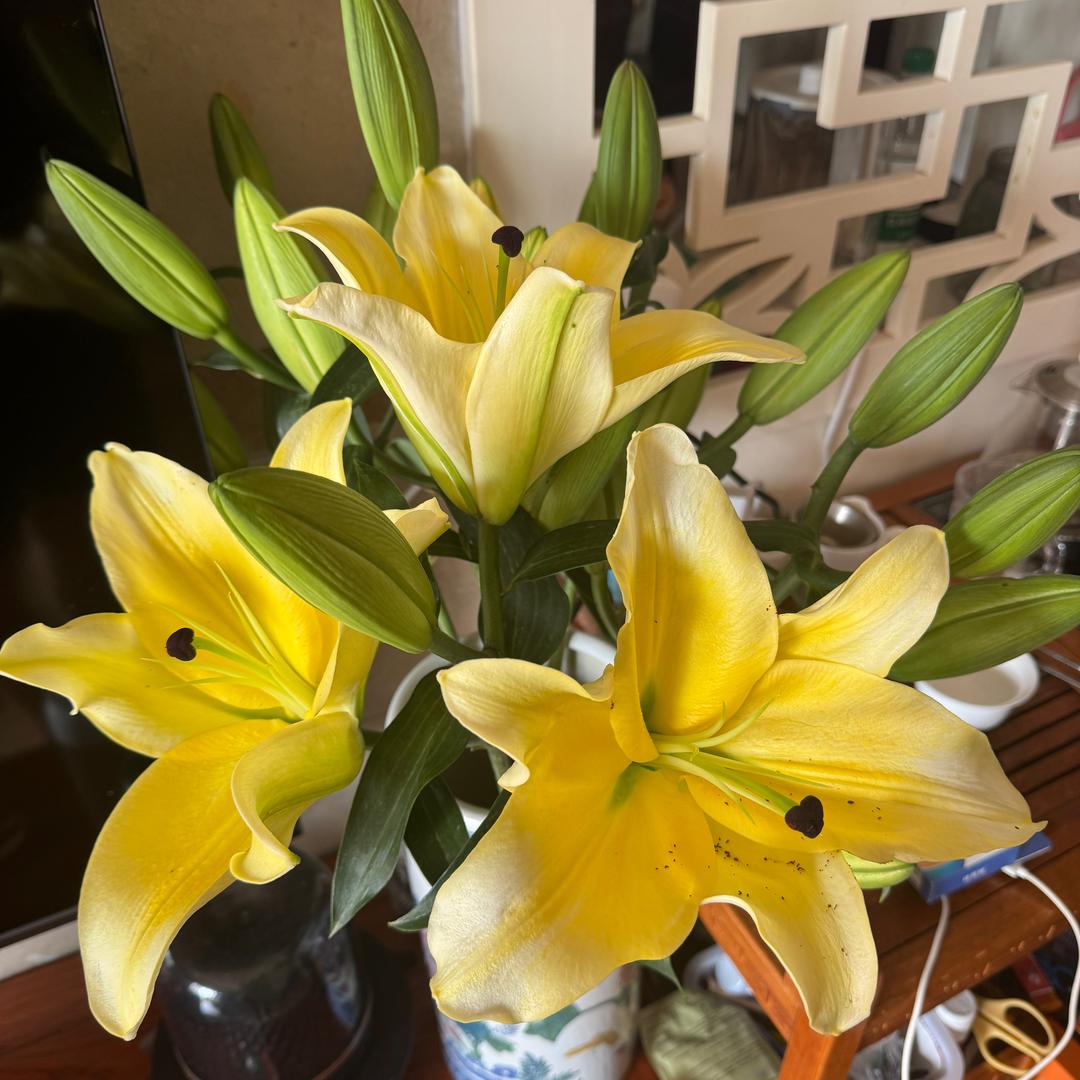 小曾！小曾！快乐倍增！