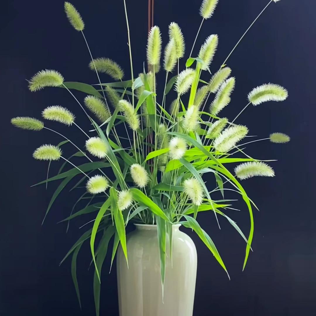 河南妞🍀