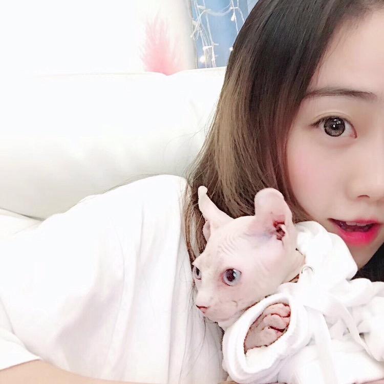 养了一只无毛猫