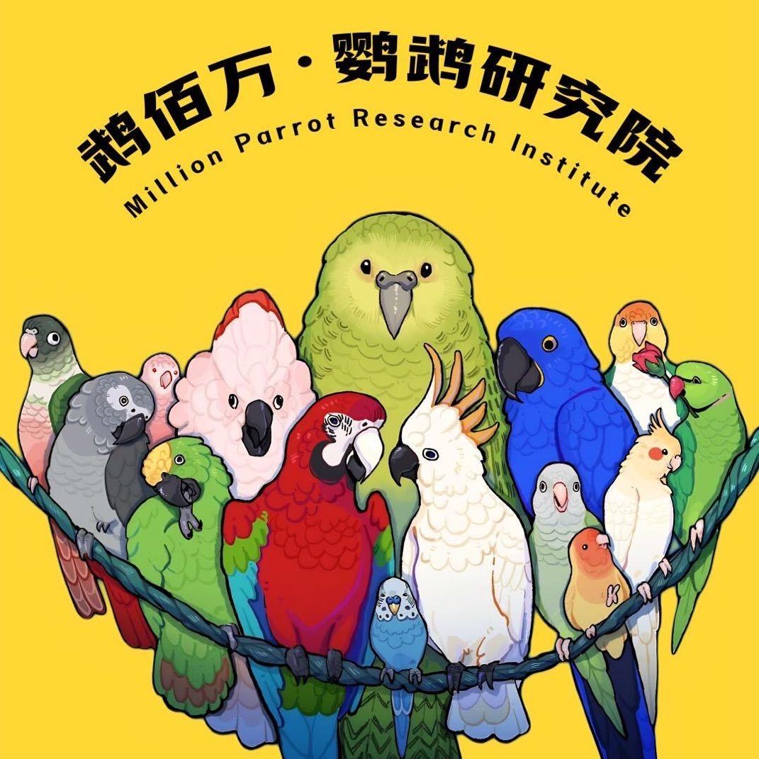 鹉佰万•鹦鹉研究院-泡泡