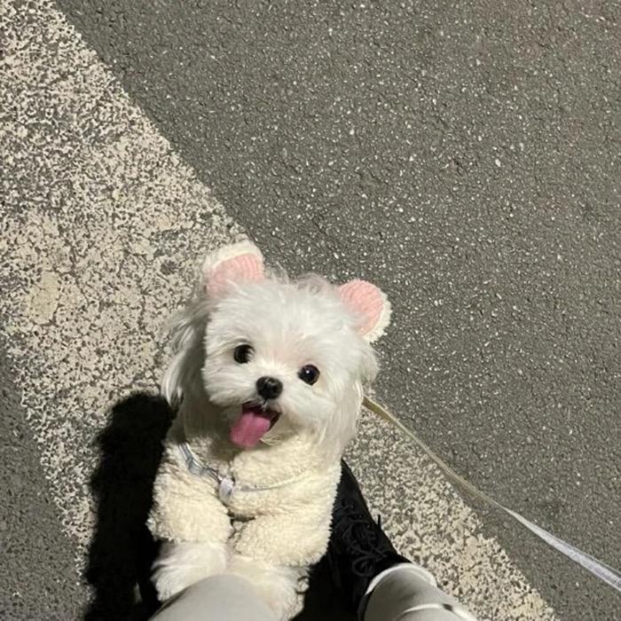 开心点