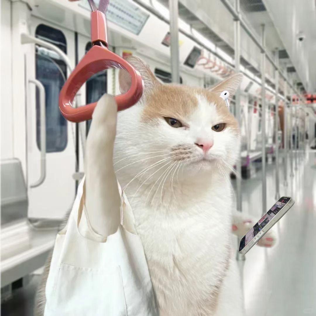 冰淇凌没有甜筒