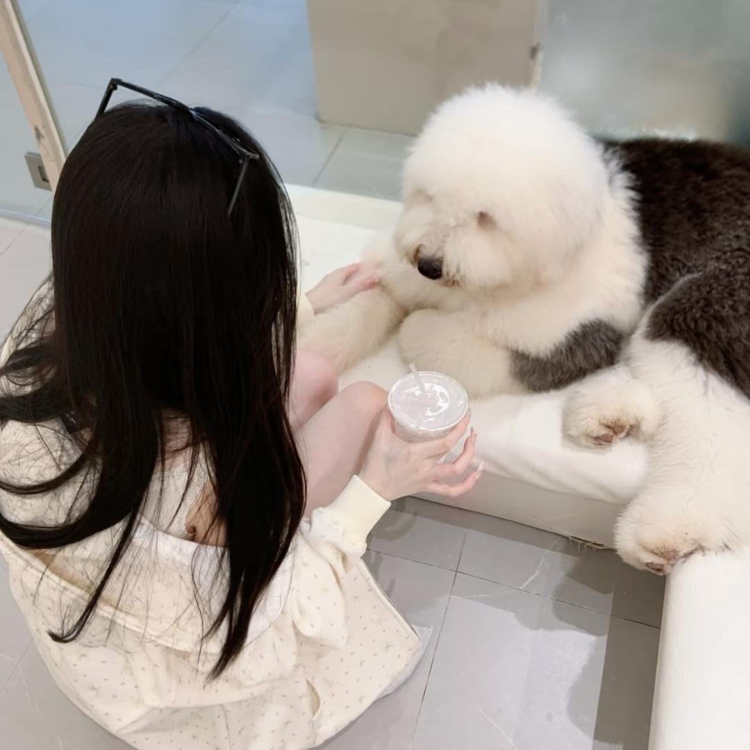 机械组装师阿菲