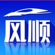 风顺车品-迎宾灯