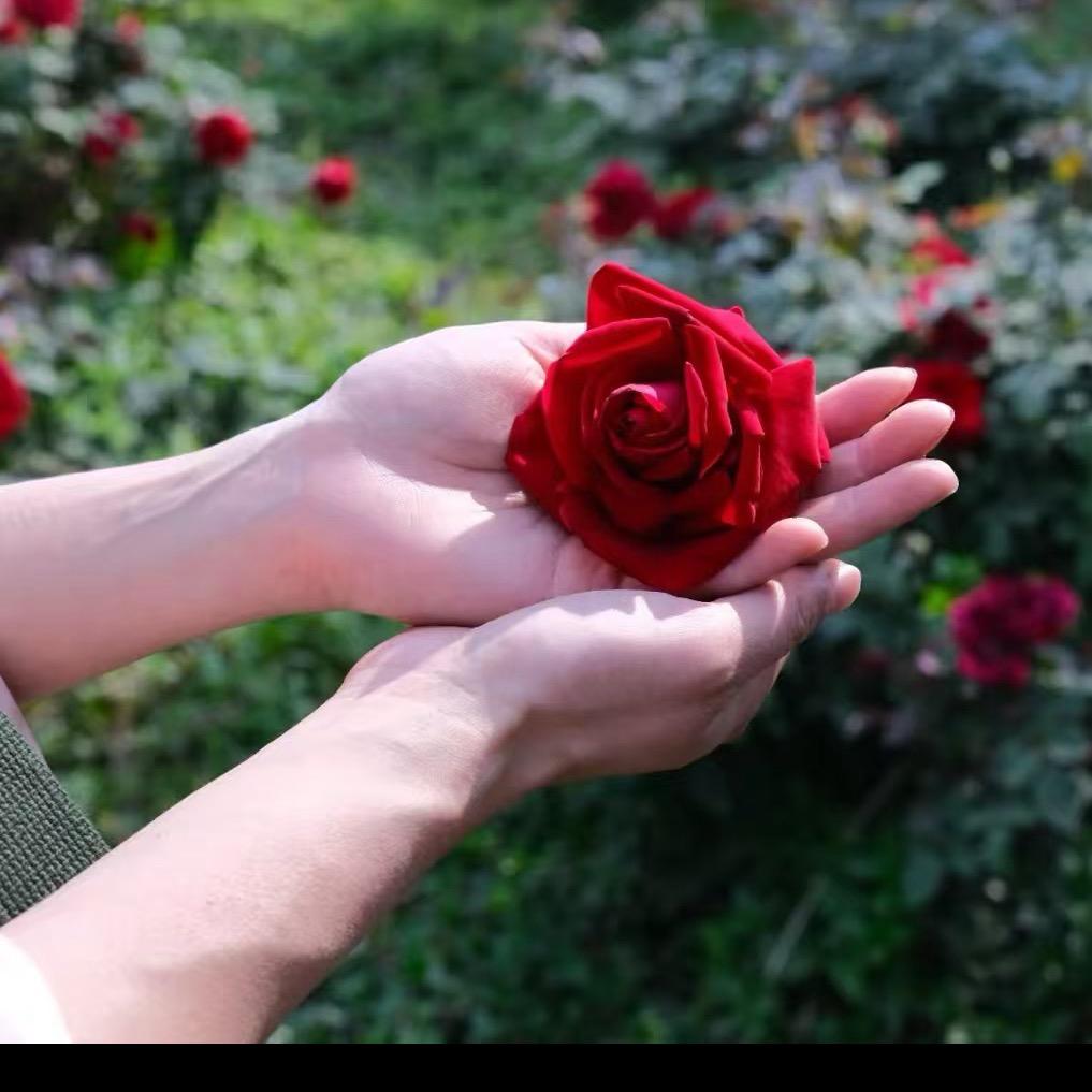 云妍花茶
