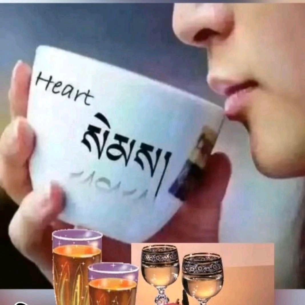 🌺不念过往🌺