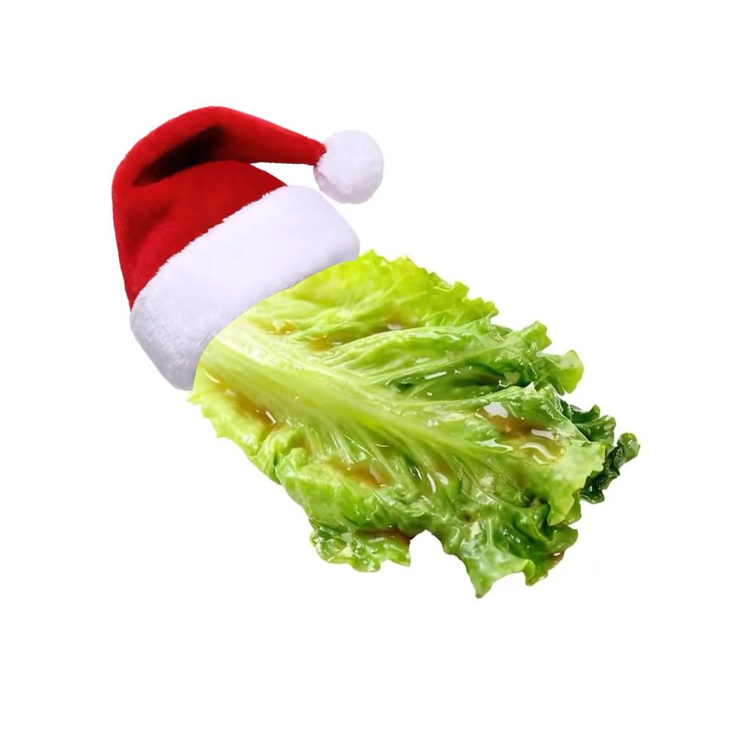 磁月山🧲（煞笔wy