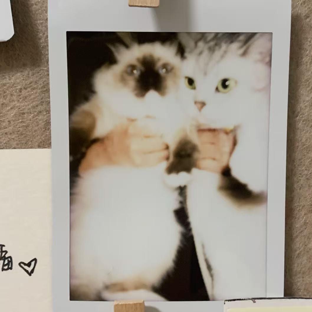 Finneganカシファ