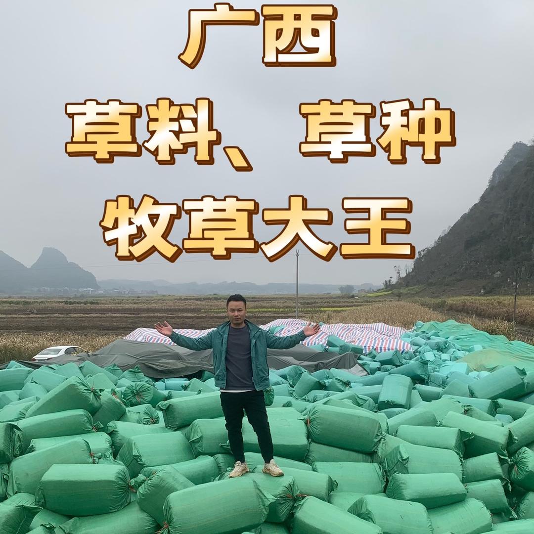 骄阳农业牧草企业店