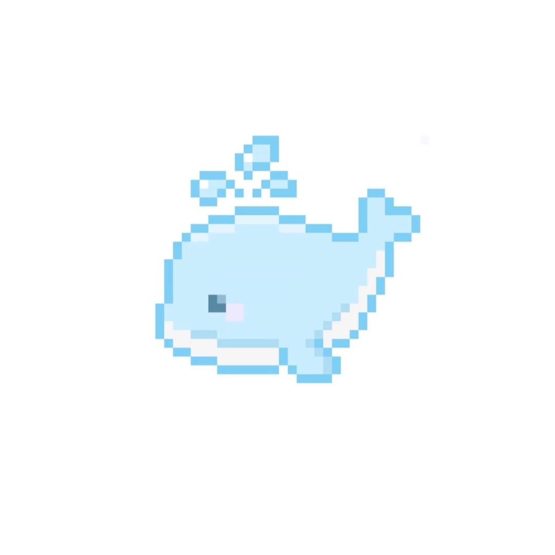 我真叫鲸鱼🐳