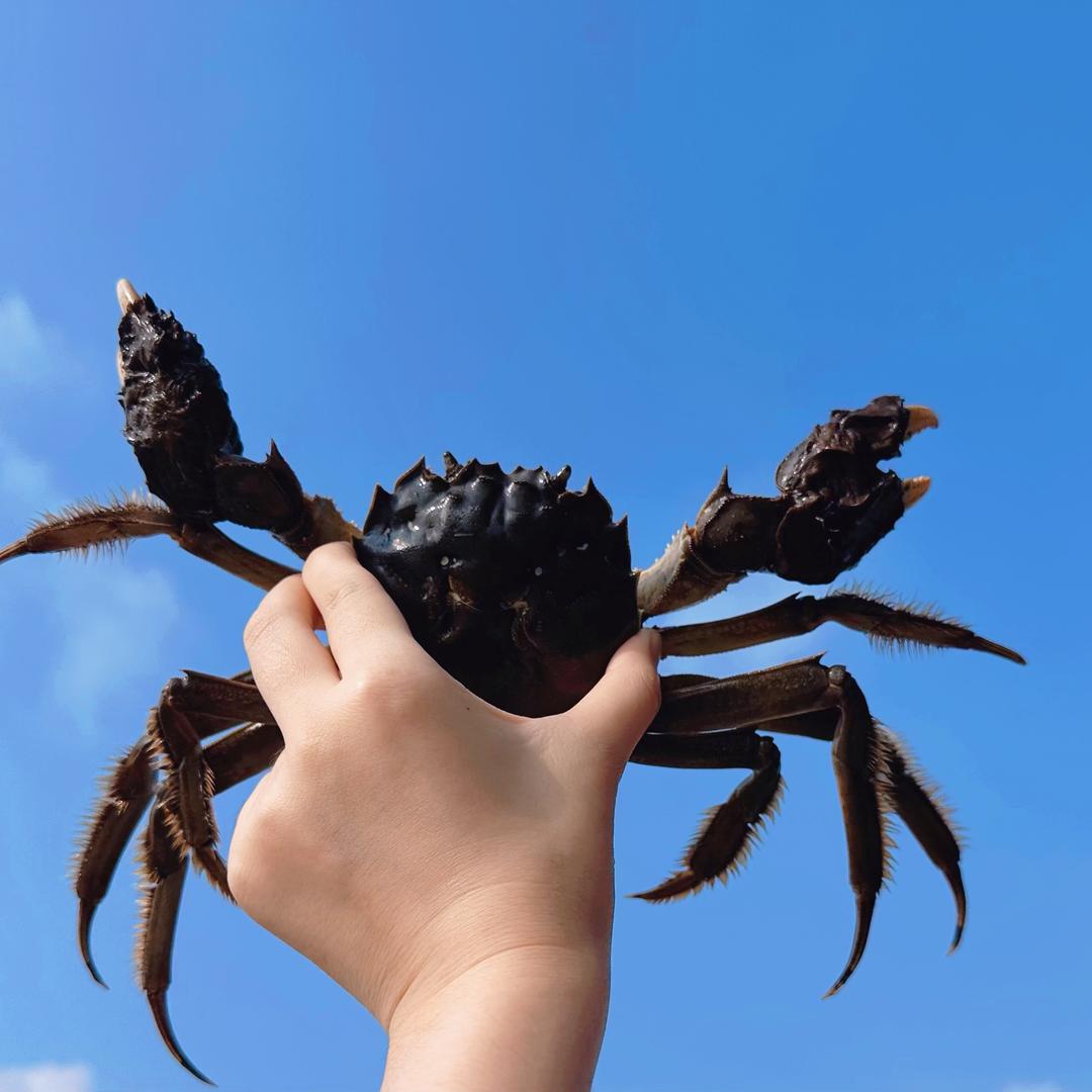 江苏山山蟹业源头直发