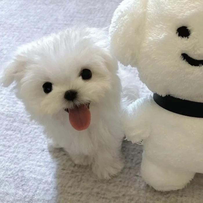 记得睡觉