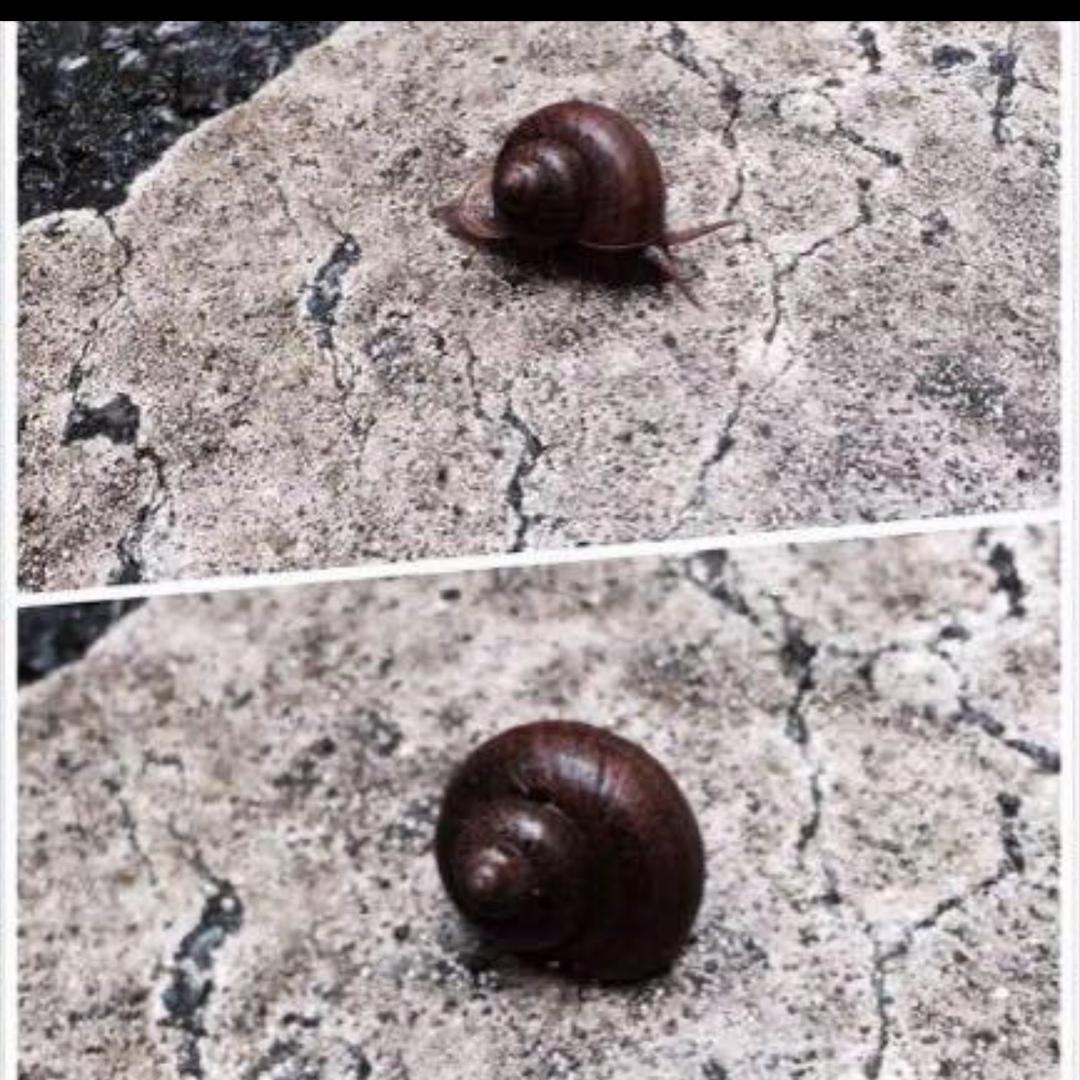 周周飘红（闲聊号）