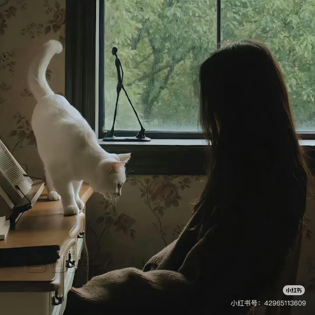 🍰•ᴗ•小喵碎碎冰