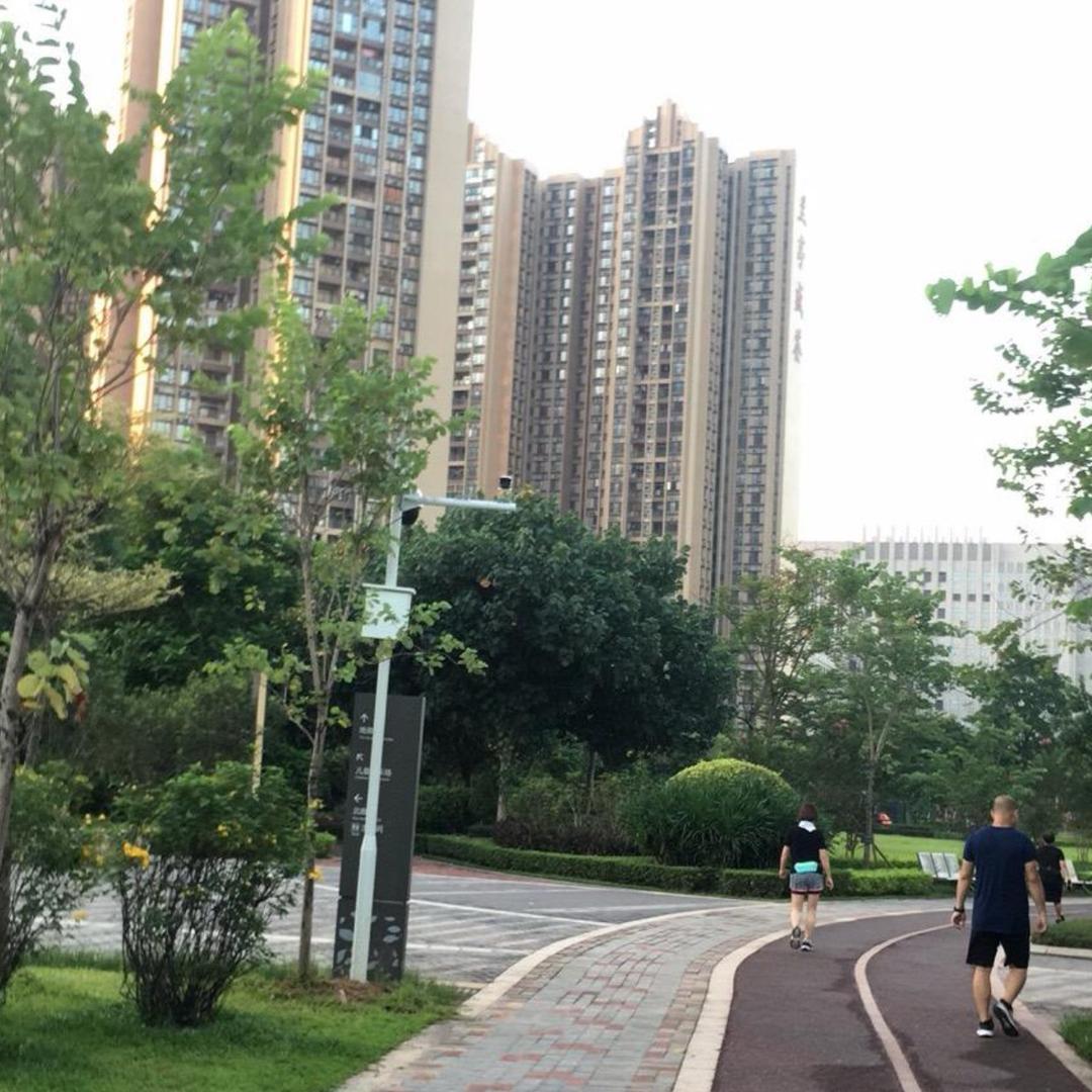 农村兄妹甜甜日常