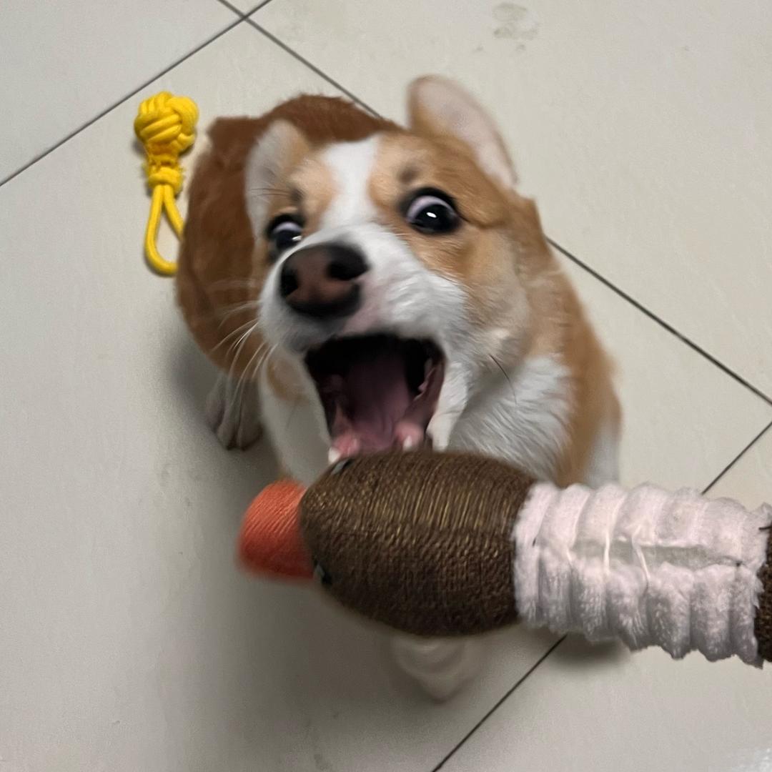 周一鸣