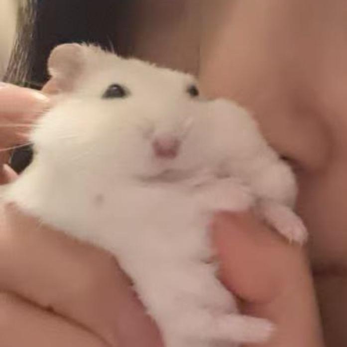 好兄弟冰箱贴