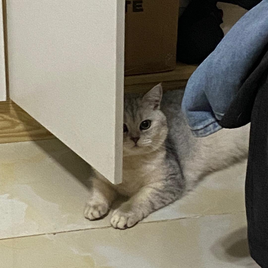 我不是阿Q