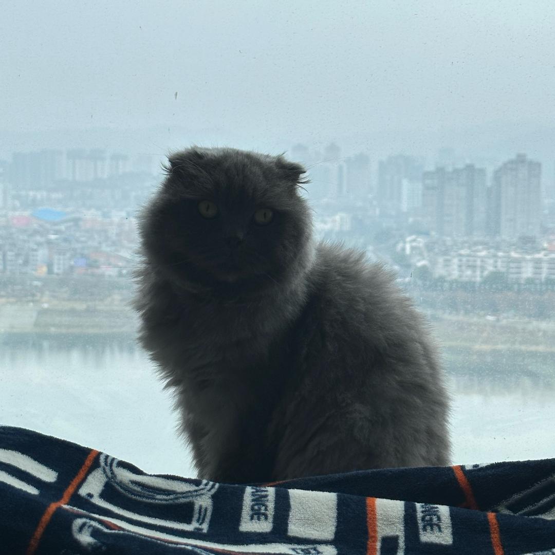 上善若水6
