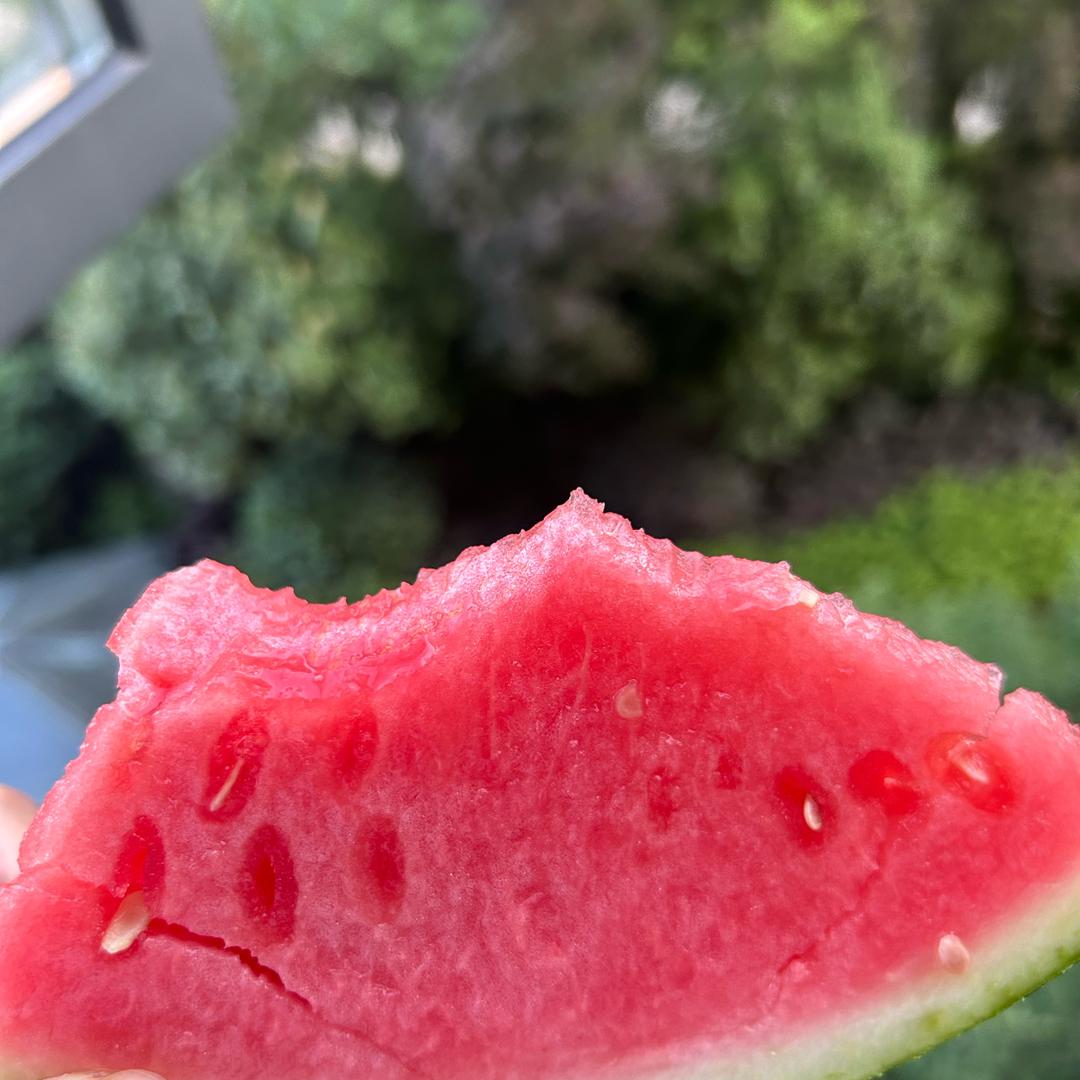 °小西瓜🍉