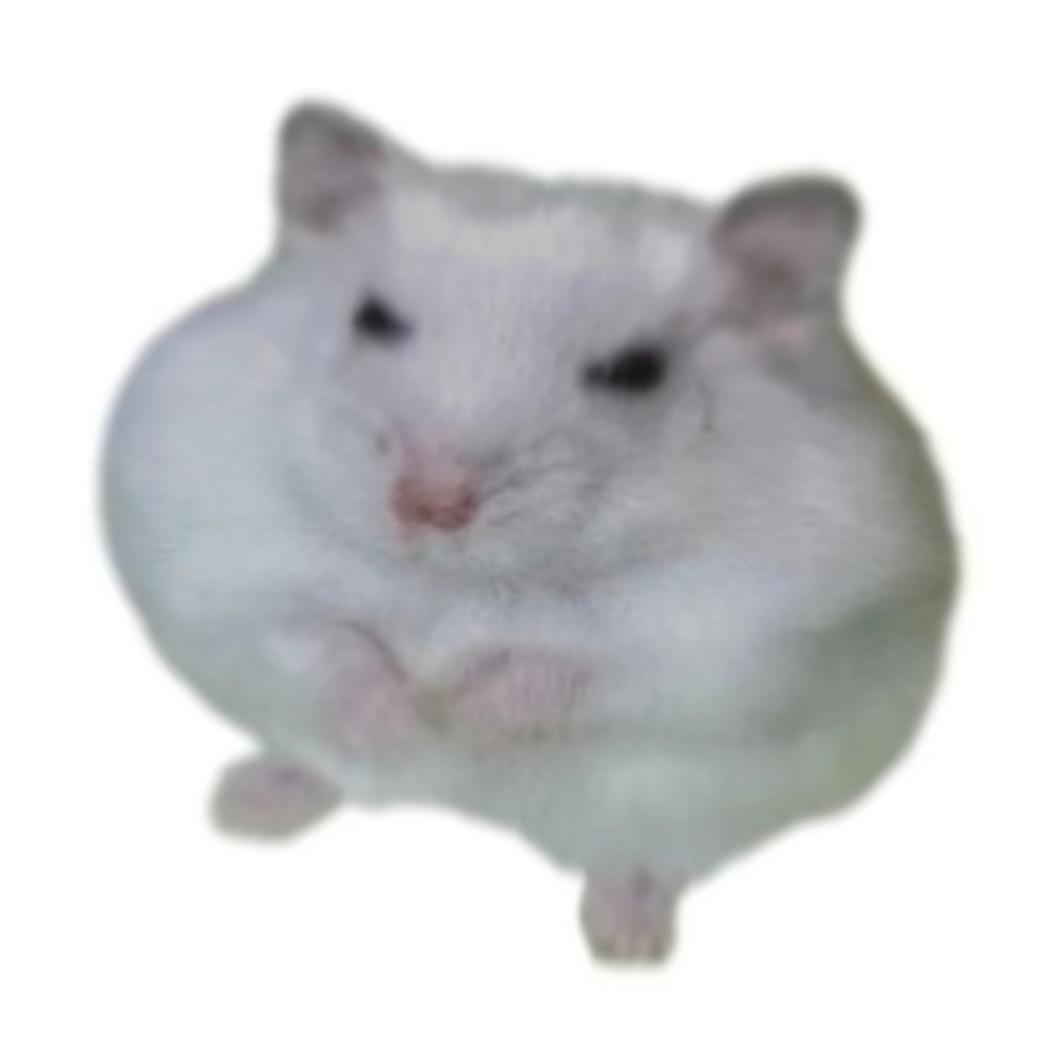 一个泉