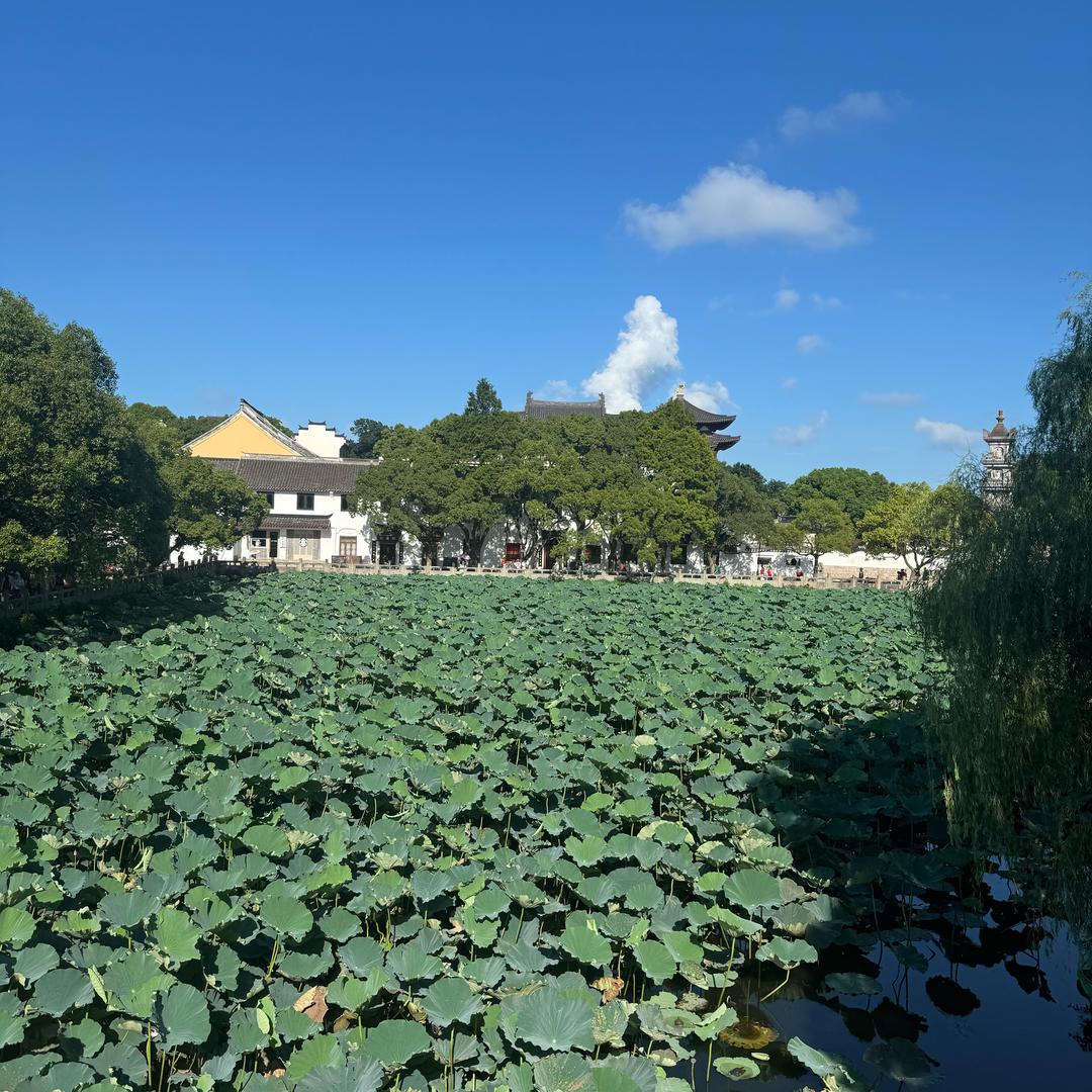 💰傅的流油