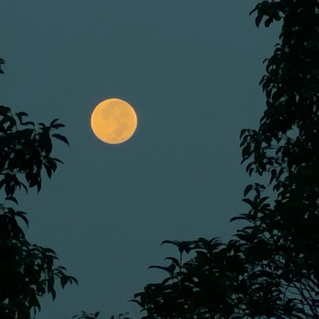 星辰