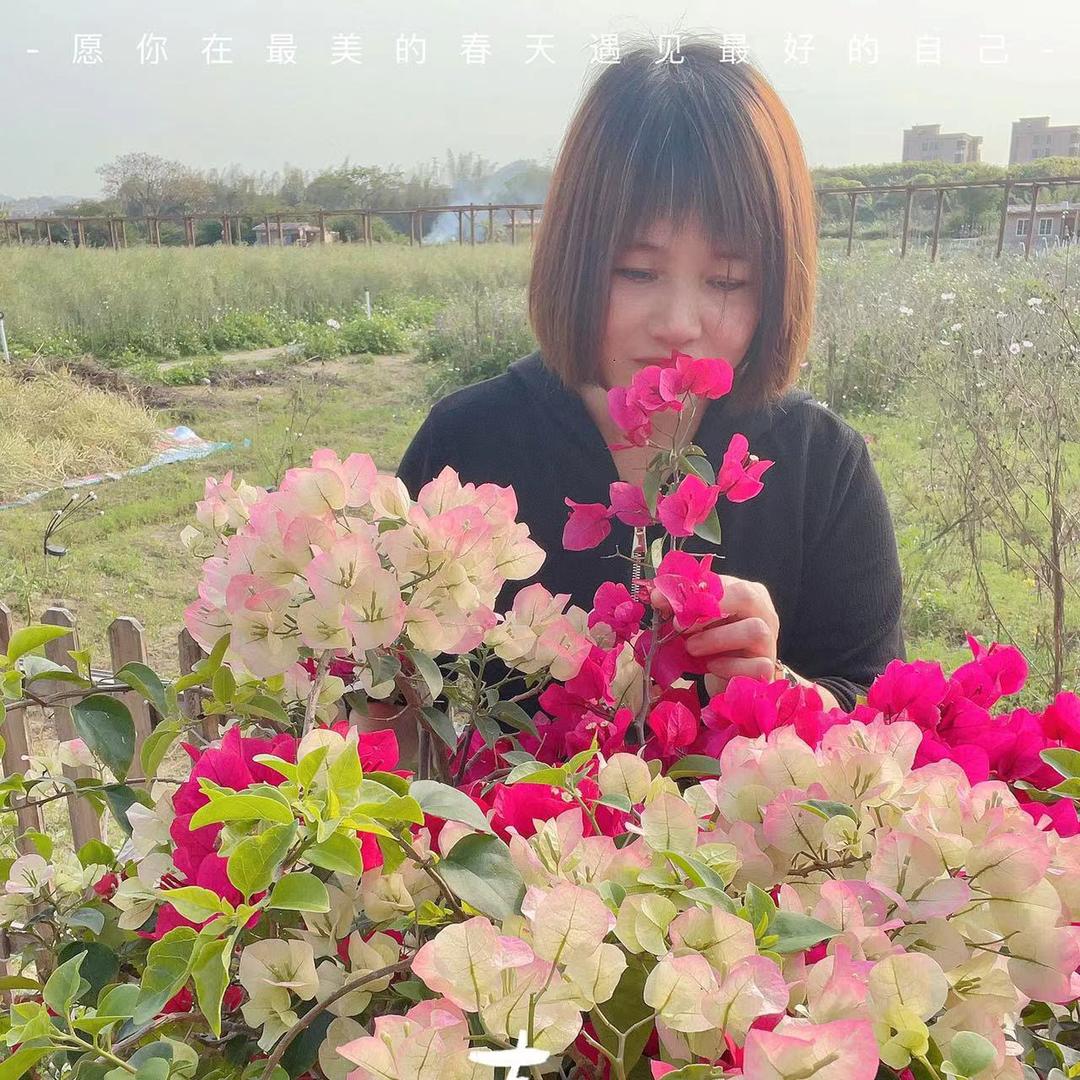 玫瑰🌹（冰瞳大姐）厨窗有好物