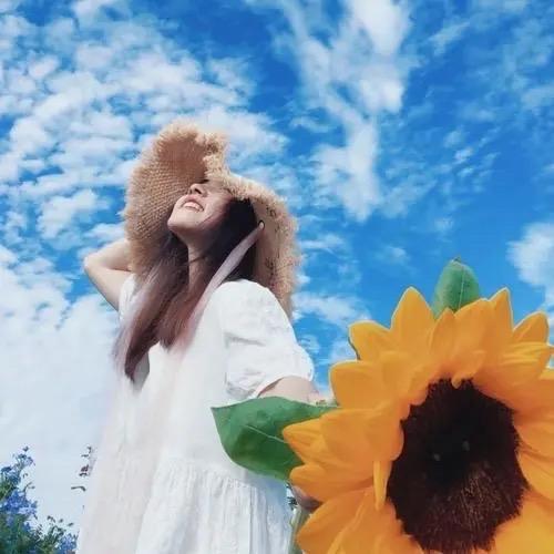 向阳花开