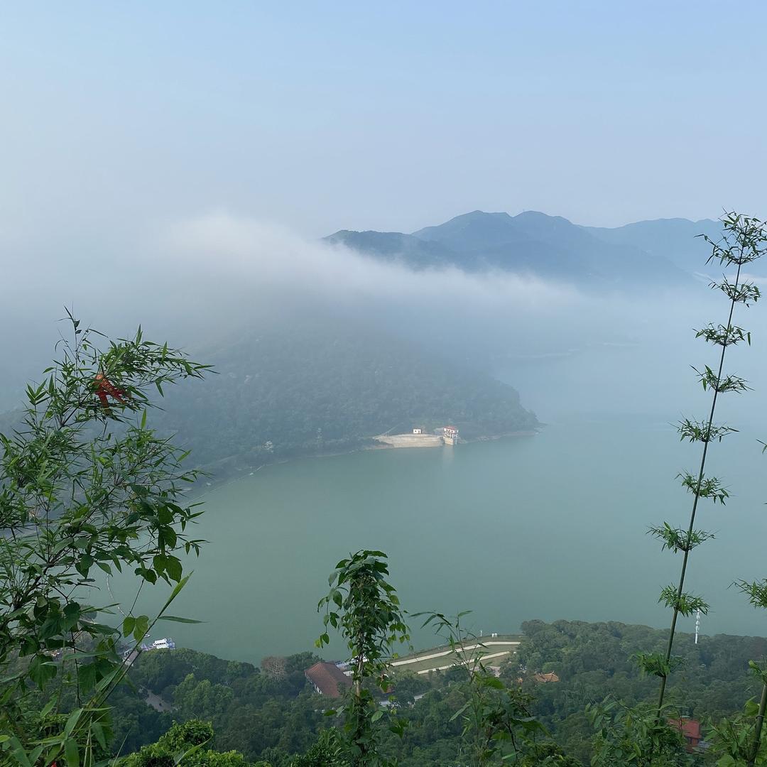 活成自己的光