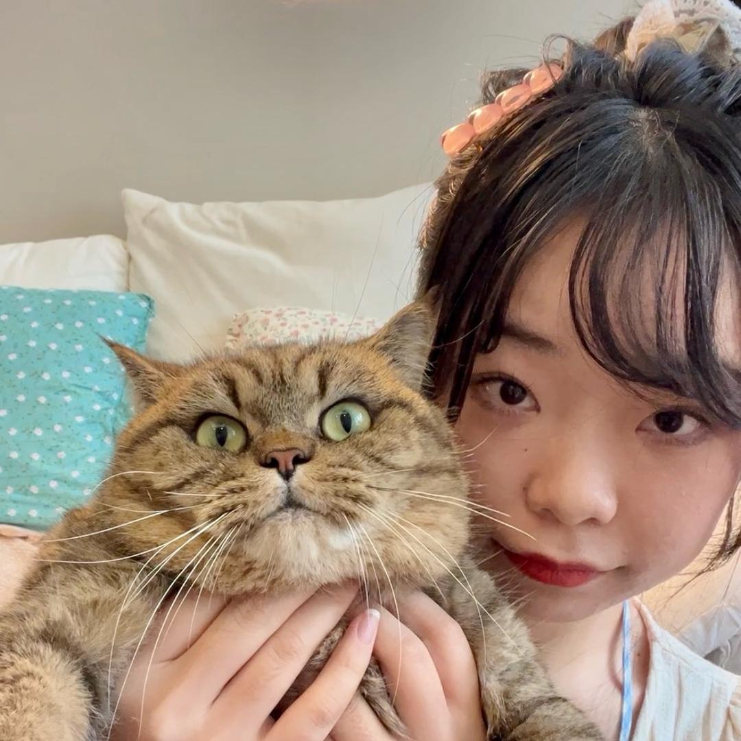 贴贴小布丁