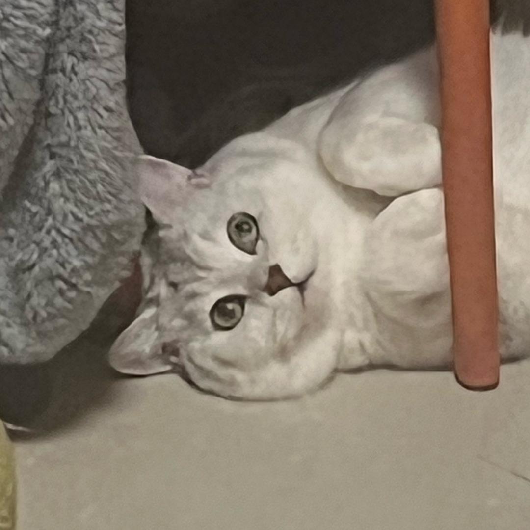 咸金贵（异性勿扰👋）