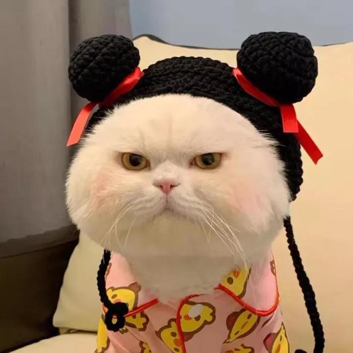 皮皮大魔王i