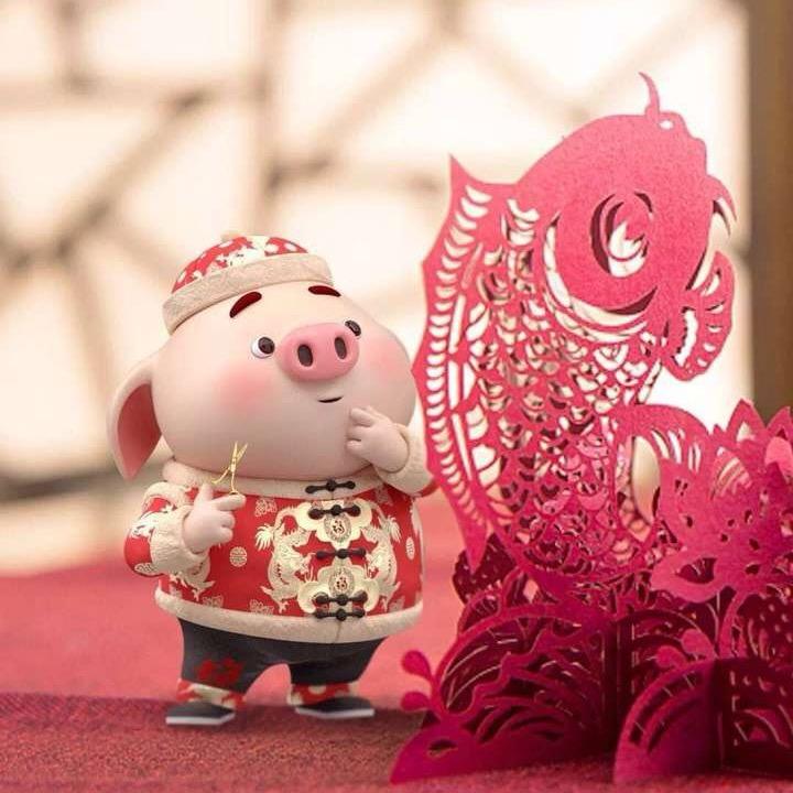 十一💞