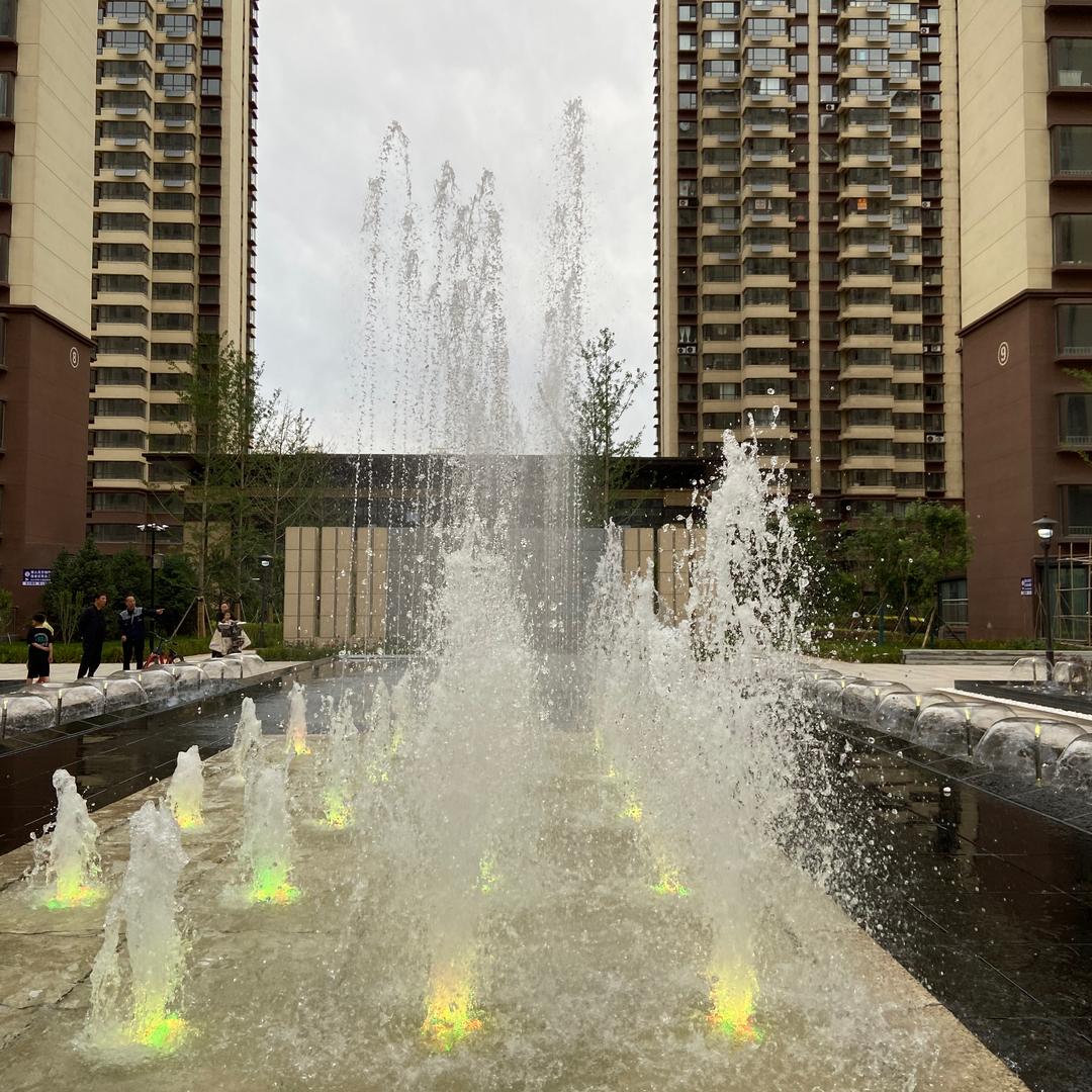 东晨美郡陈涛