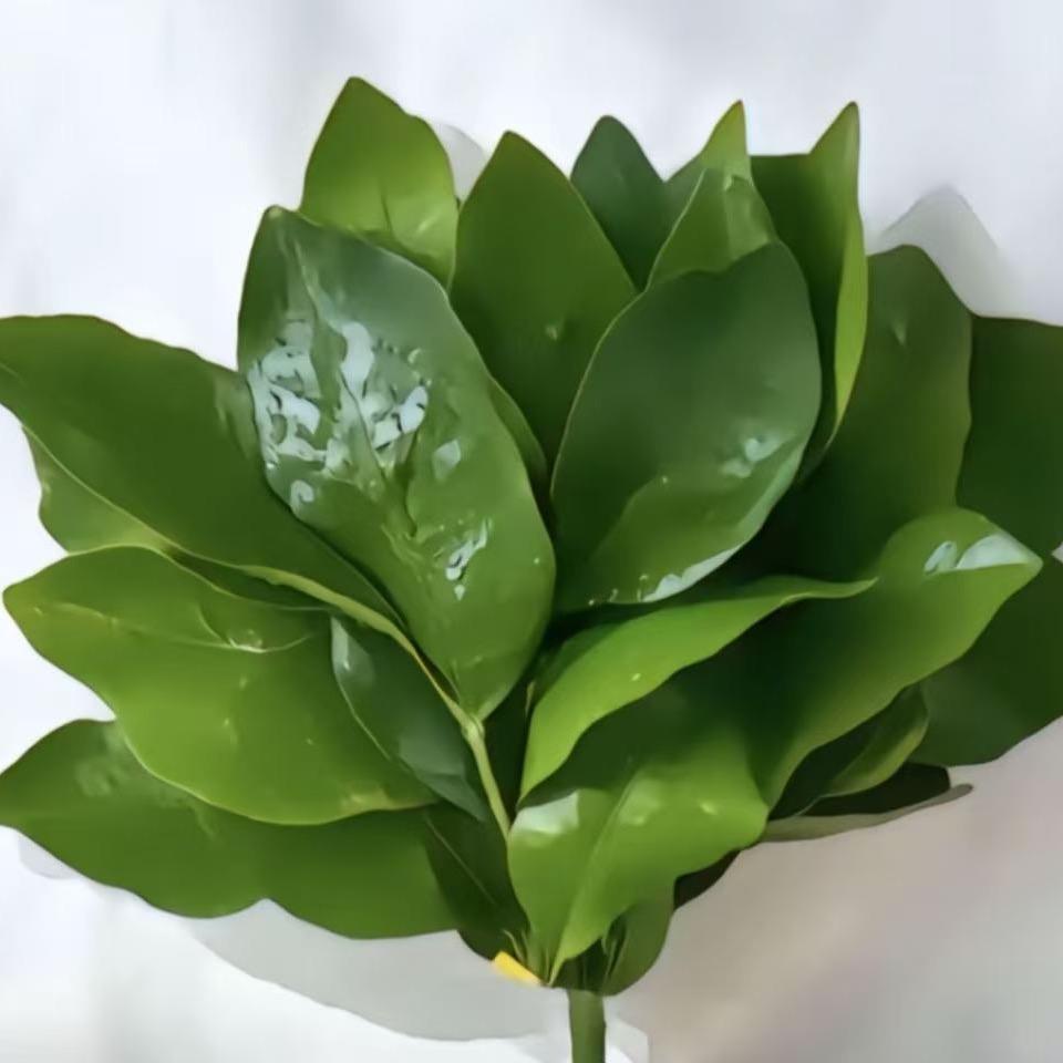 小确幸👩‍❤️‍💋‍👩