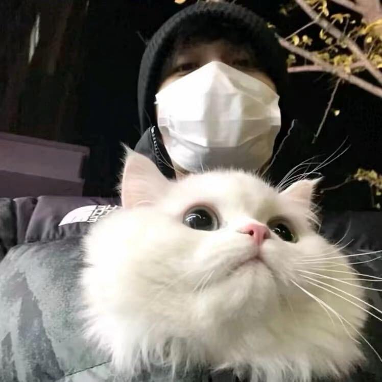再吃一个蛋挞