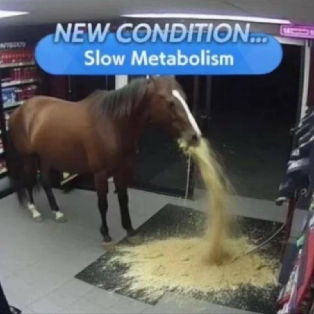 希望 不如意的痛恨冰箱