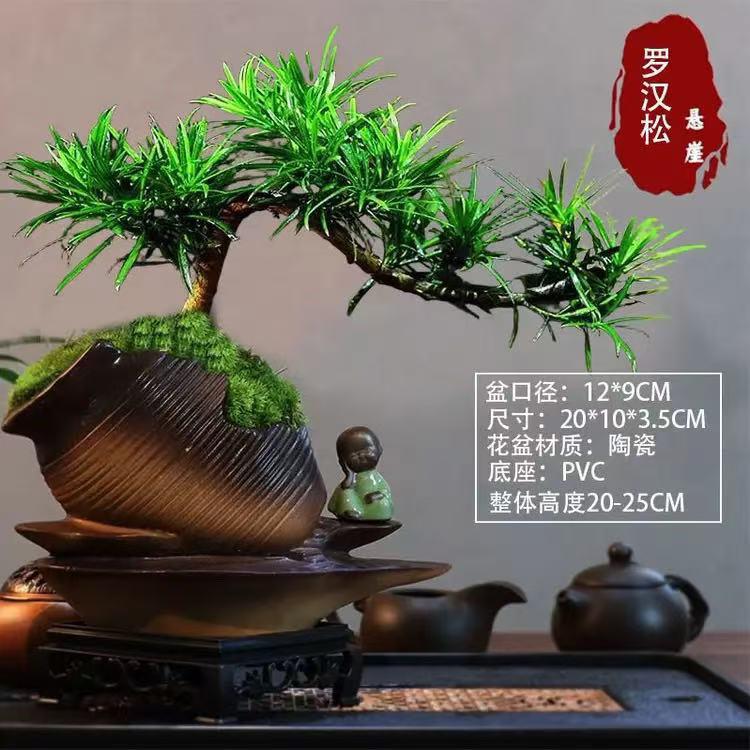 南梦盆栽