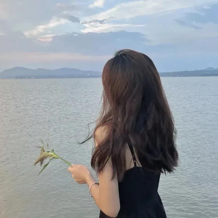 柠檬爱生活