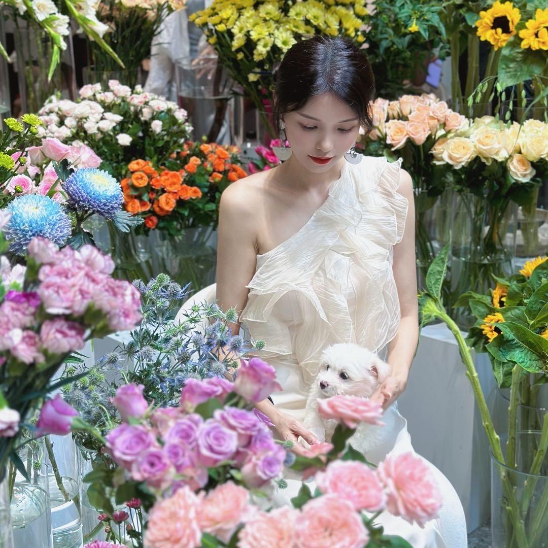 多娜MeiMei