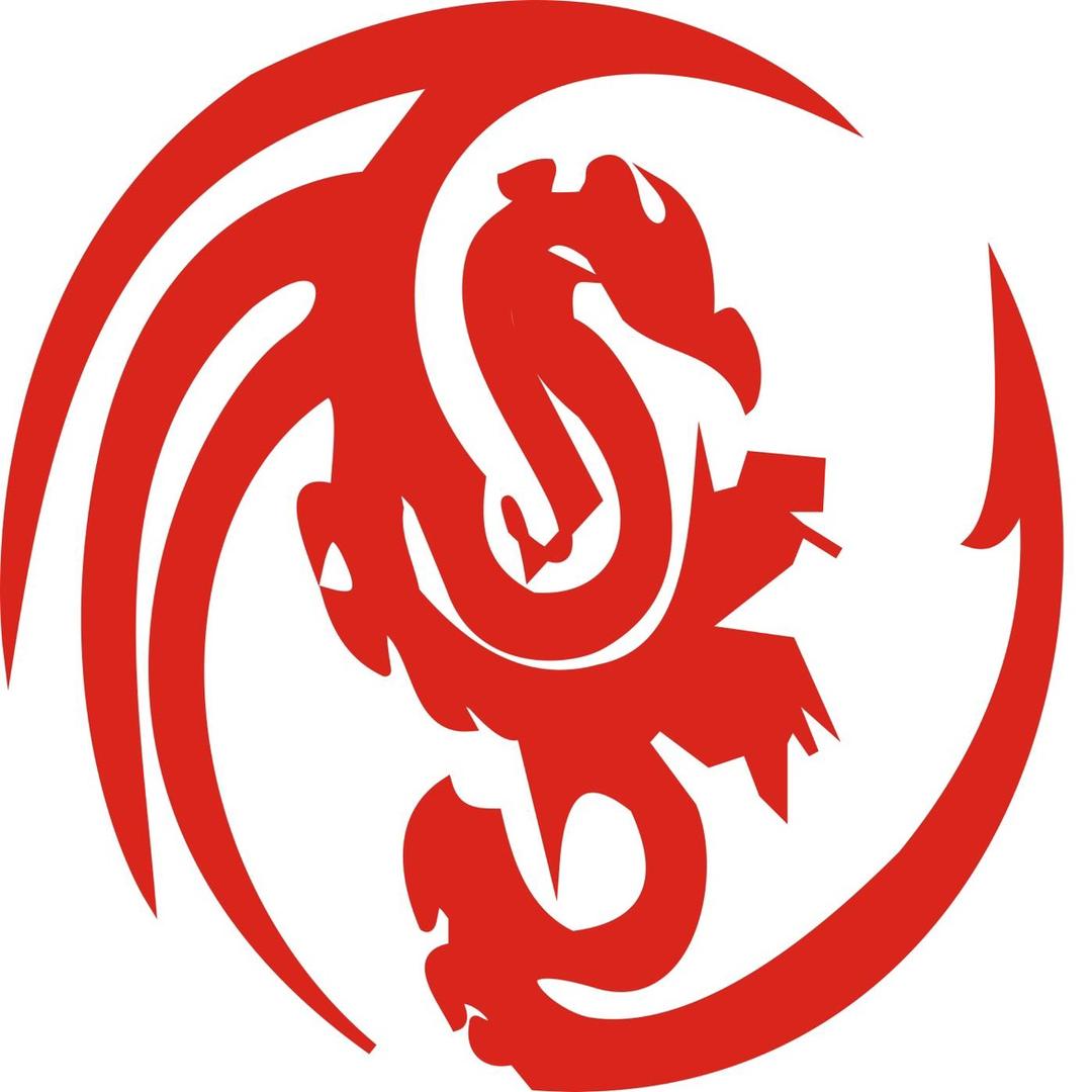 广西百色市龙万家装饰有限公司