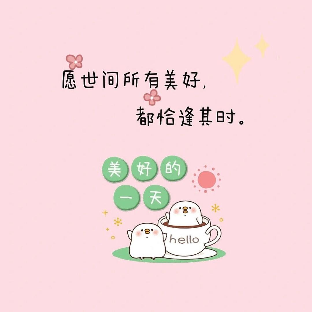 ✨星光✨