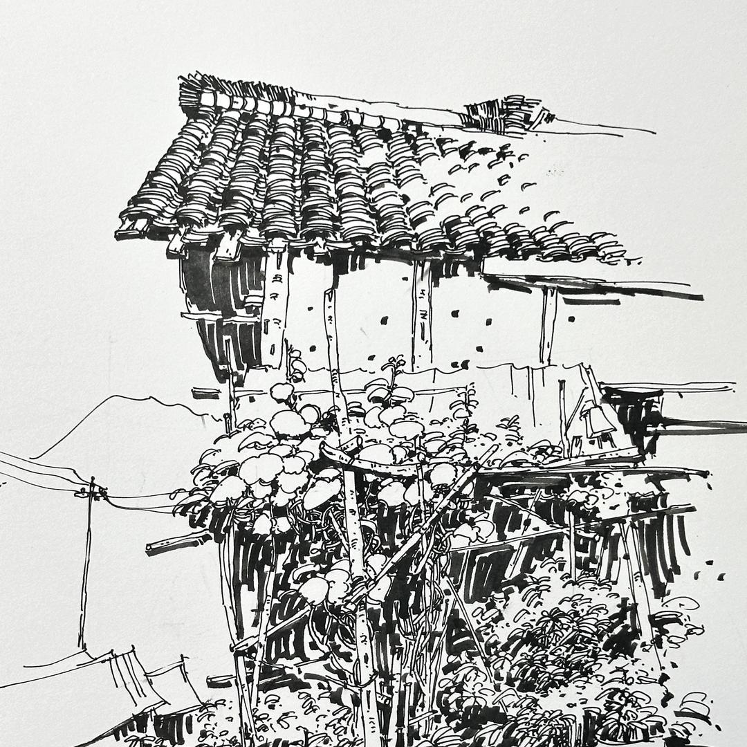 何伟平钢笔画|有课